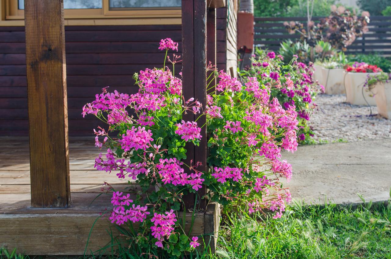 Tal Nof Cabins Villa Manot Kültér fotó
