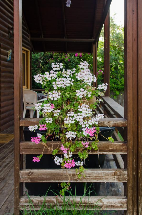 Tal Nof Cabins Villa Manot Kültér fotó